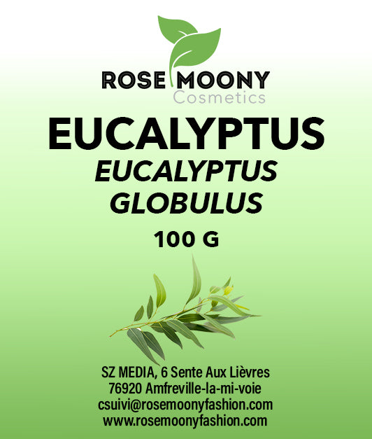 Bienfaits et vertus de l'eucalyptus sur les bronches  Feuille eucalyptus,  Feuilles de plantes, Eucalyptus